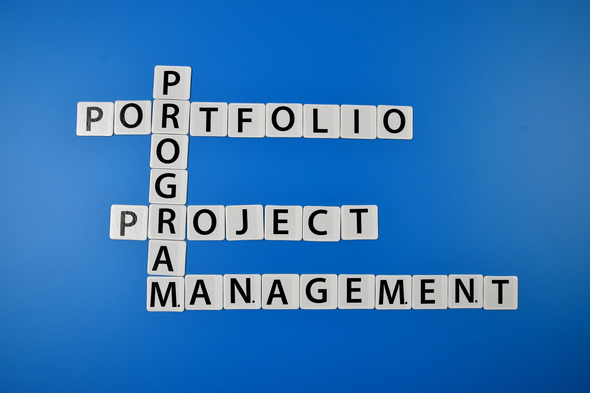 Differences between managing Portfolio and Program